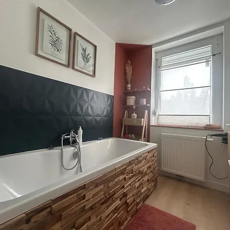 Maison Jardin Et Parking * Lille